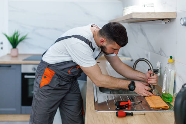 Best Local Plumber Services  in Newhall, IA